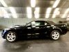 MUSTANG 4.6 V8 300 GT cabriolet detail