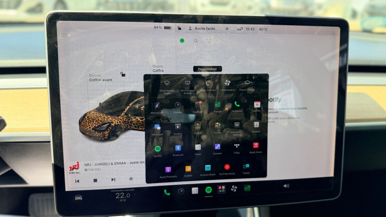 Mandataire TESLA MODEL 3 Standard Range Plus RWD