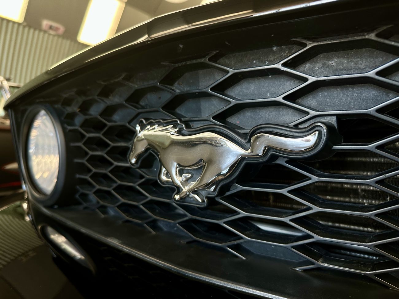 Mandataire Ford MUSTANG 4.6 V8 300 GT cabriolet