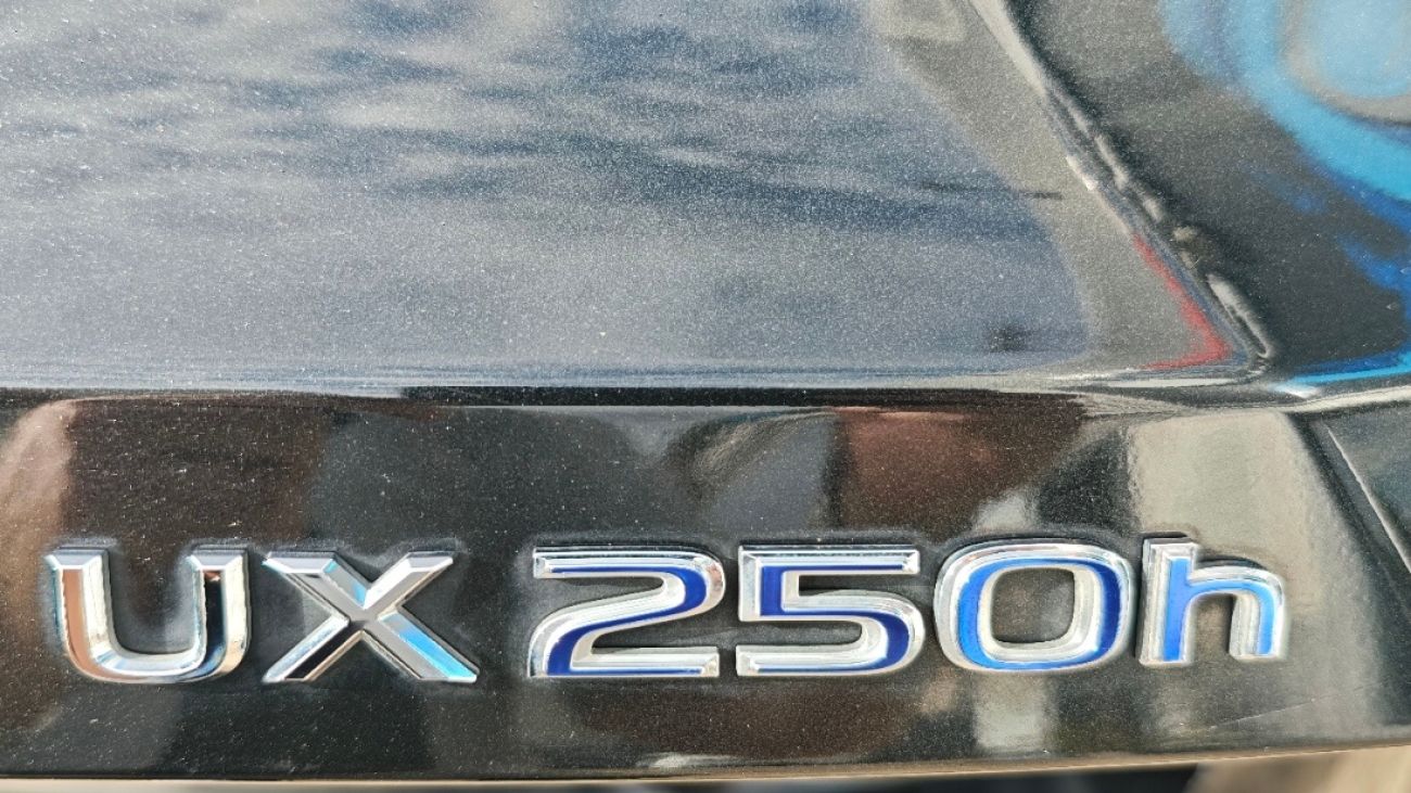 Mandataire LEXUS UX 250h 2WD Luxe