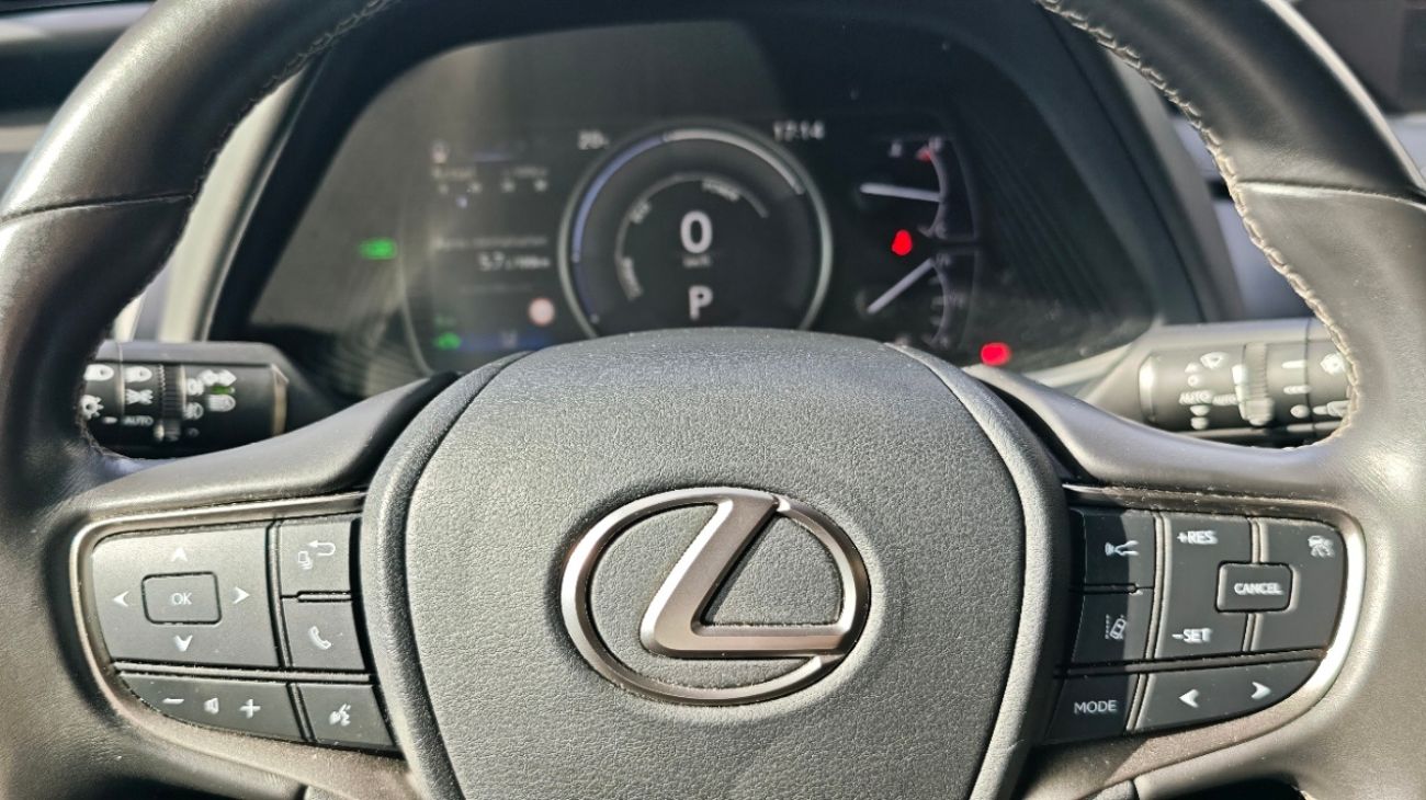 Mandataire LEXUS UX 250h 2WD Luxe